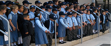 Schools